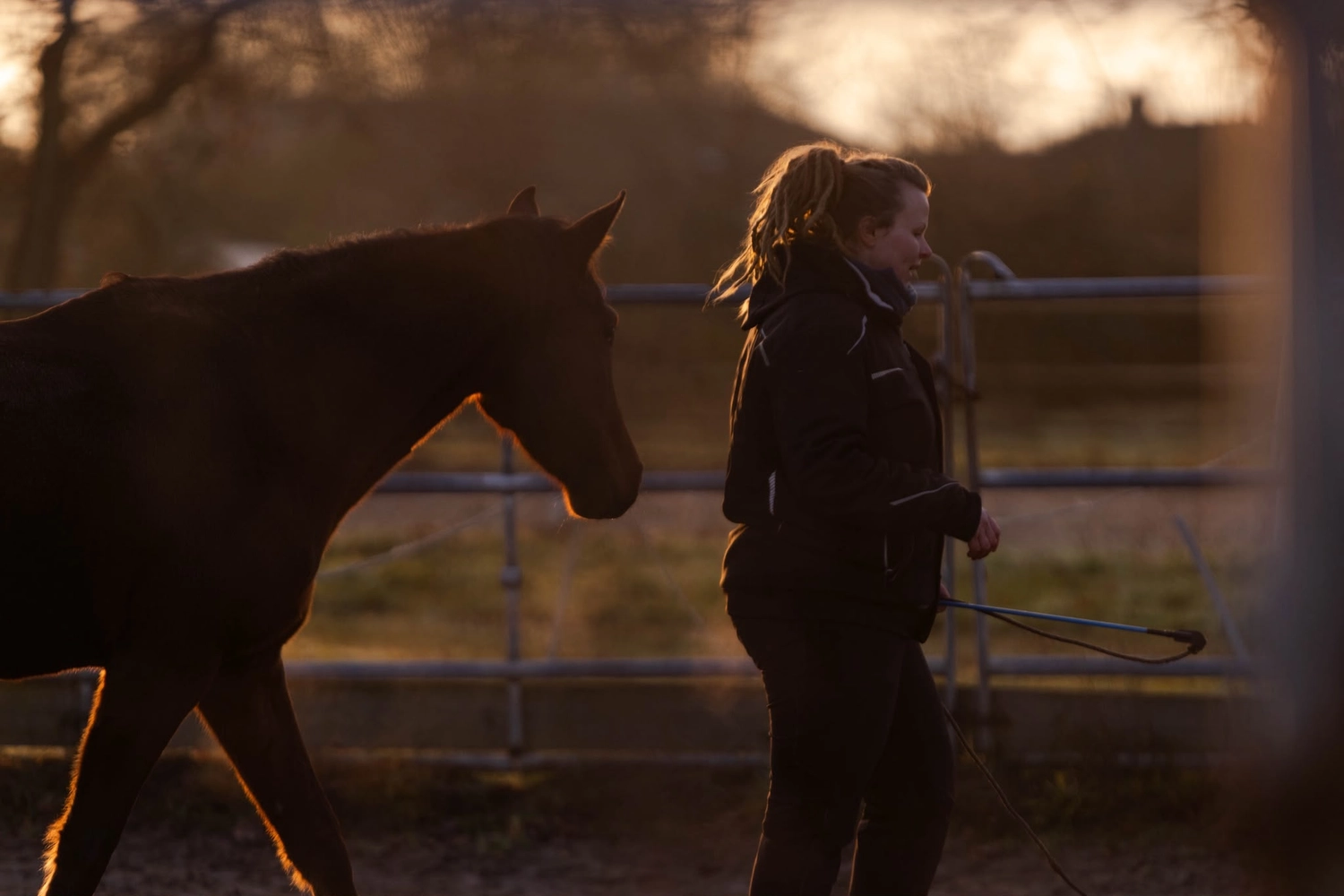 Ankerhof Natürlich-fair-Pferd - Pferdetraining - Pferdetrainer mit Pferd