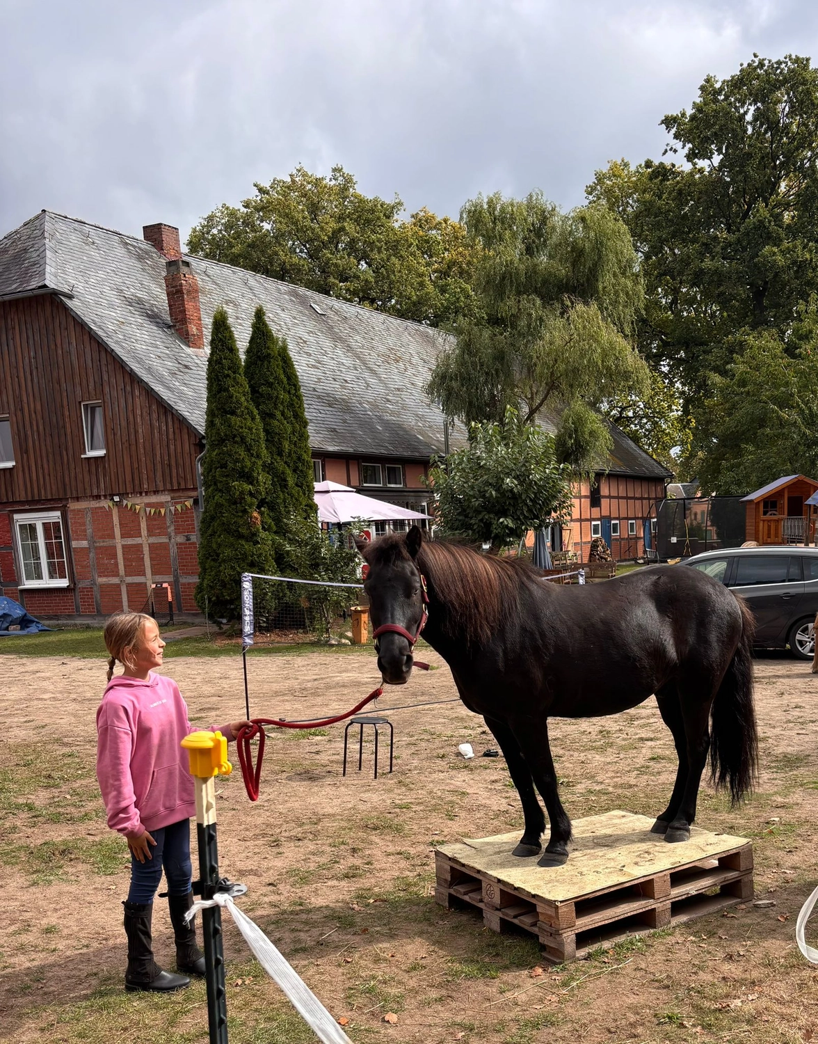 Ankerhof Natürlich-fair-Pferd - Pferdetraining - Ein kleines Mädchen mit Pferd