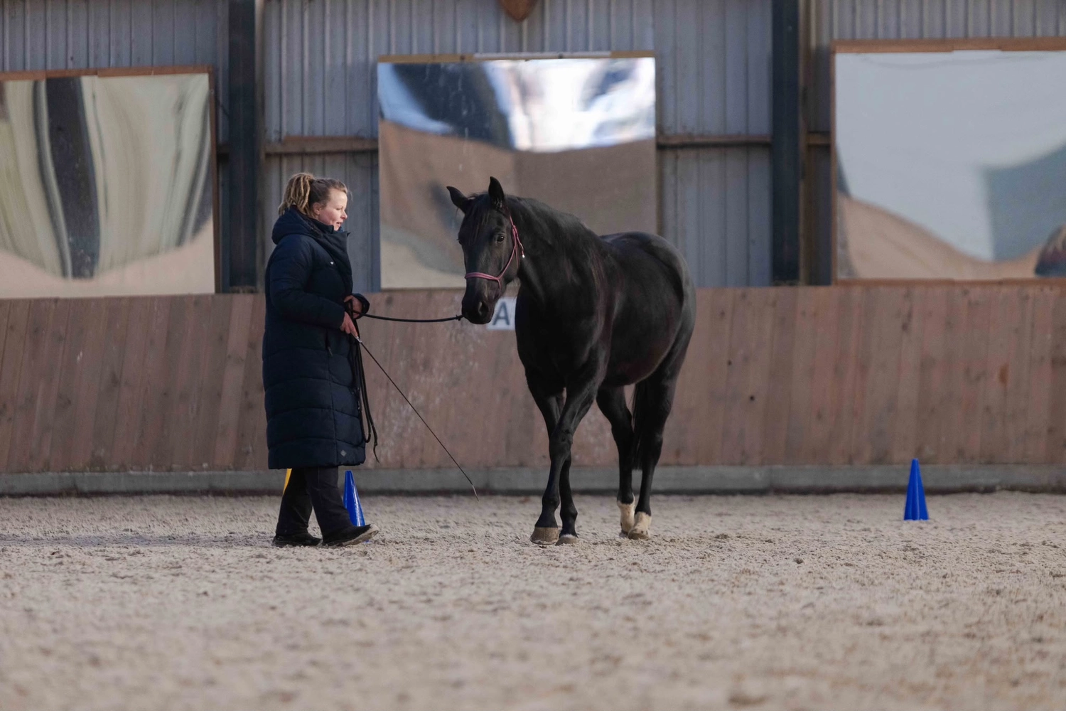 Ankerhof Natürlich-fair-Pferd - Pferdetraining - Pferdetrainer mit Pferd