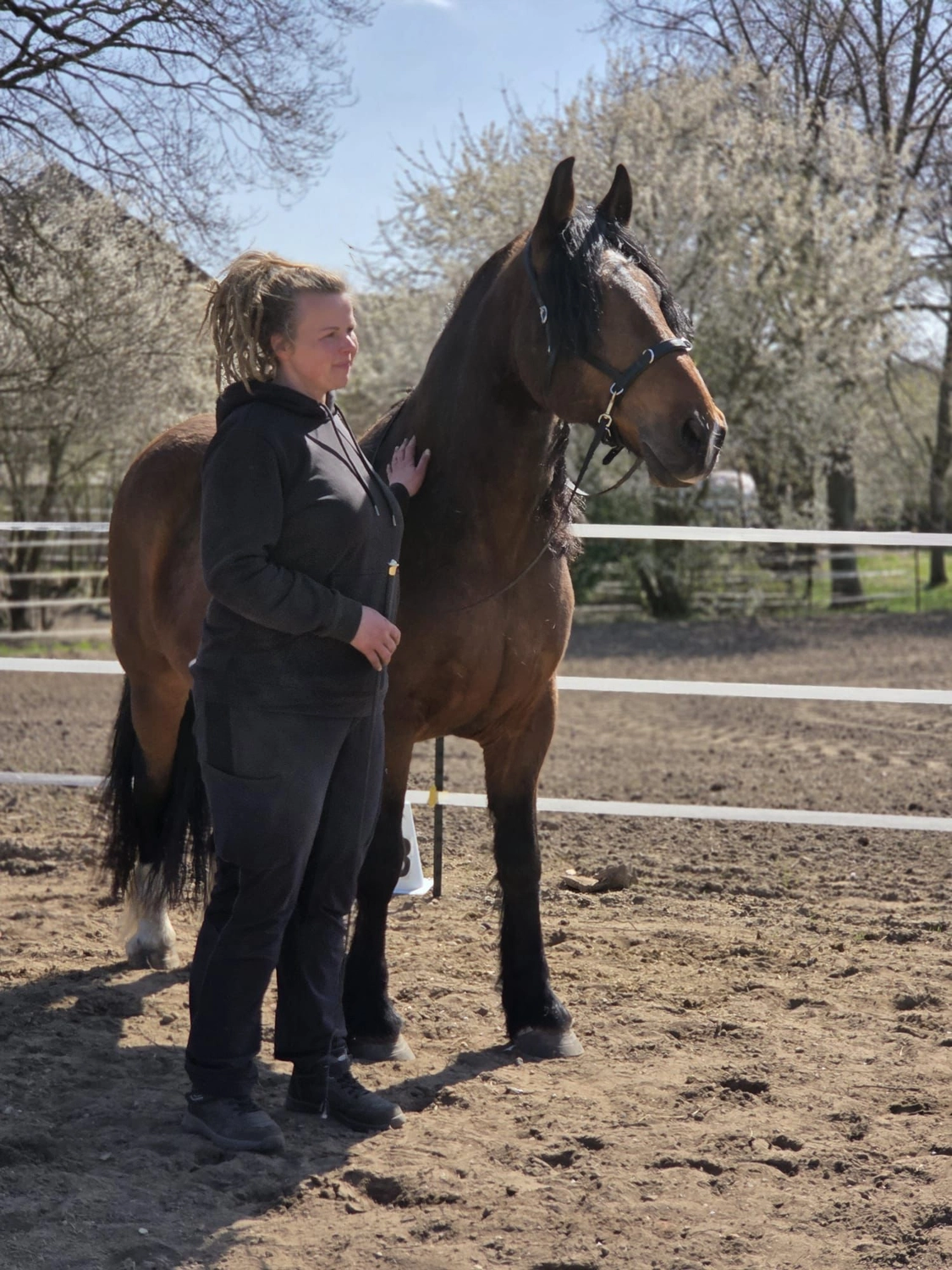 Ankerhof Natürlich-fair-Pferd - Pferdetraining - Pferdetrainer mit Pferd