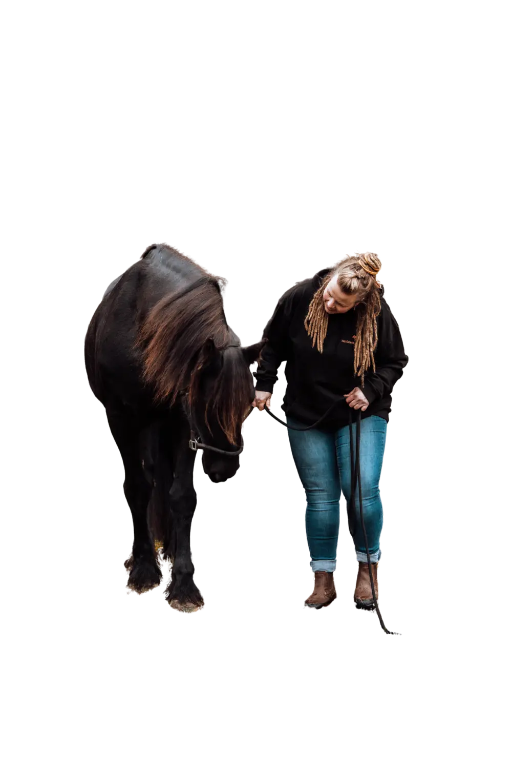 Natürlich-fair-Pferd