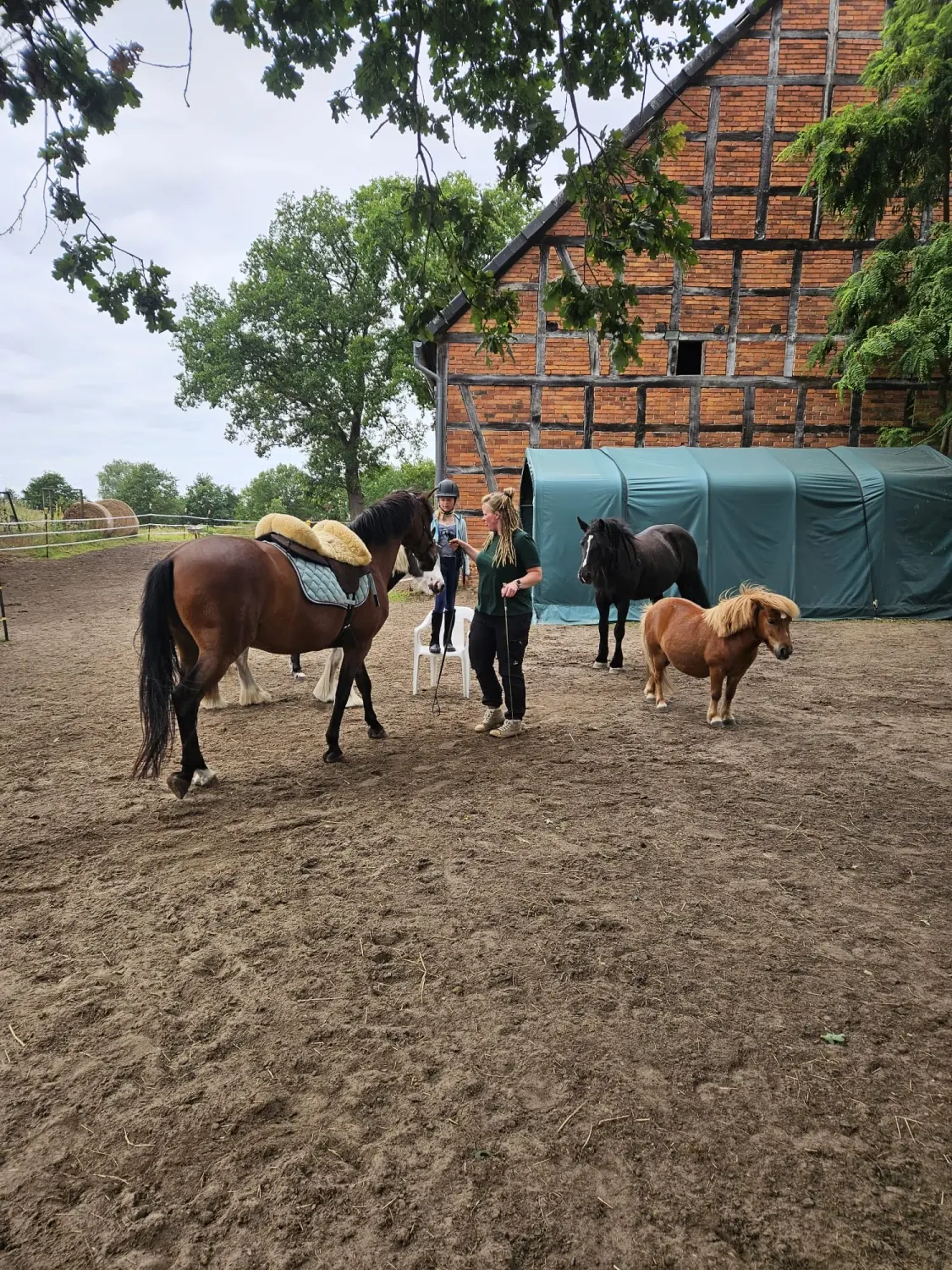 Ankerhof Natürlich-fair-Pferd - Pferdetraining - Pferdetrainer und ein Kind interagieren mit einem Pferd und zwei kleinen Ponys auf einer unbefestigten Koppel neben einer Fachwerkscheune.
