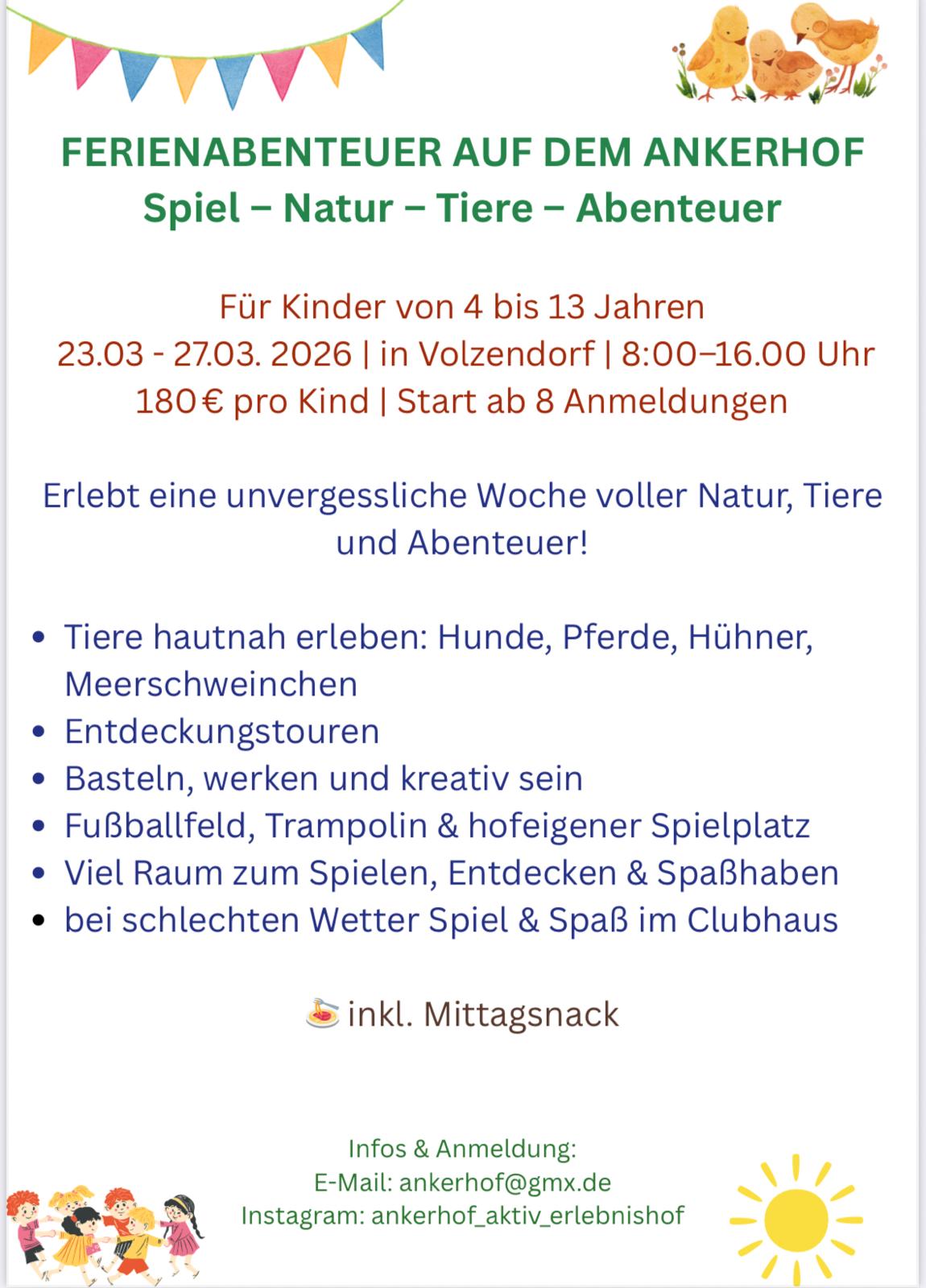 Natürlich-fair-Pferd