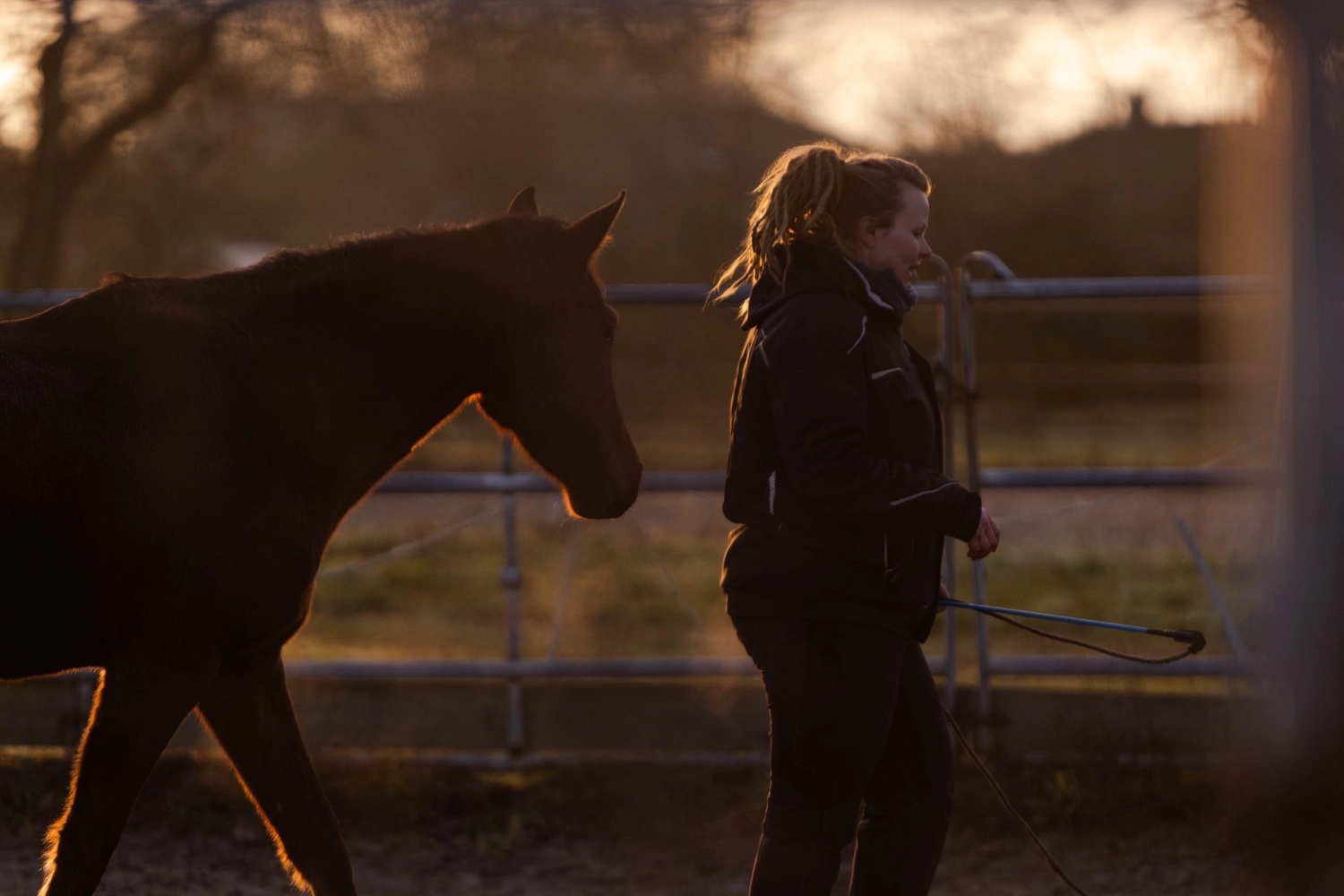 Natürlich-fair-Pferd