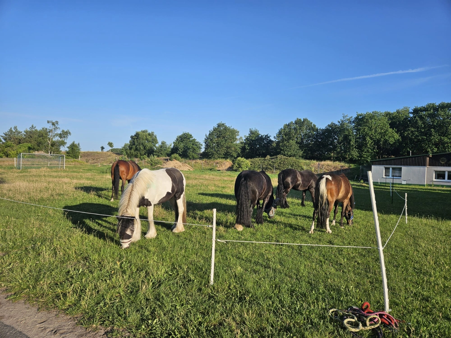 Ankerhof