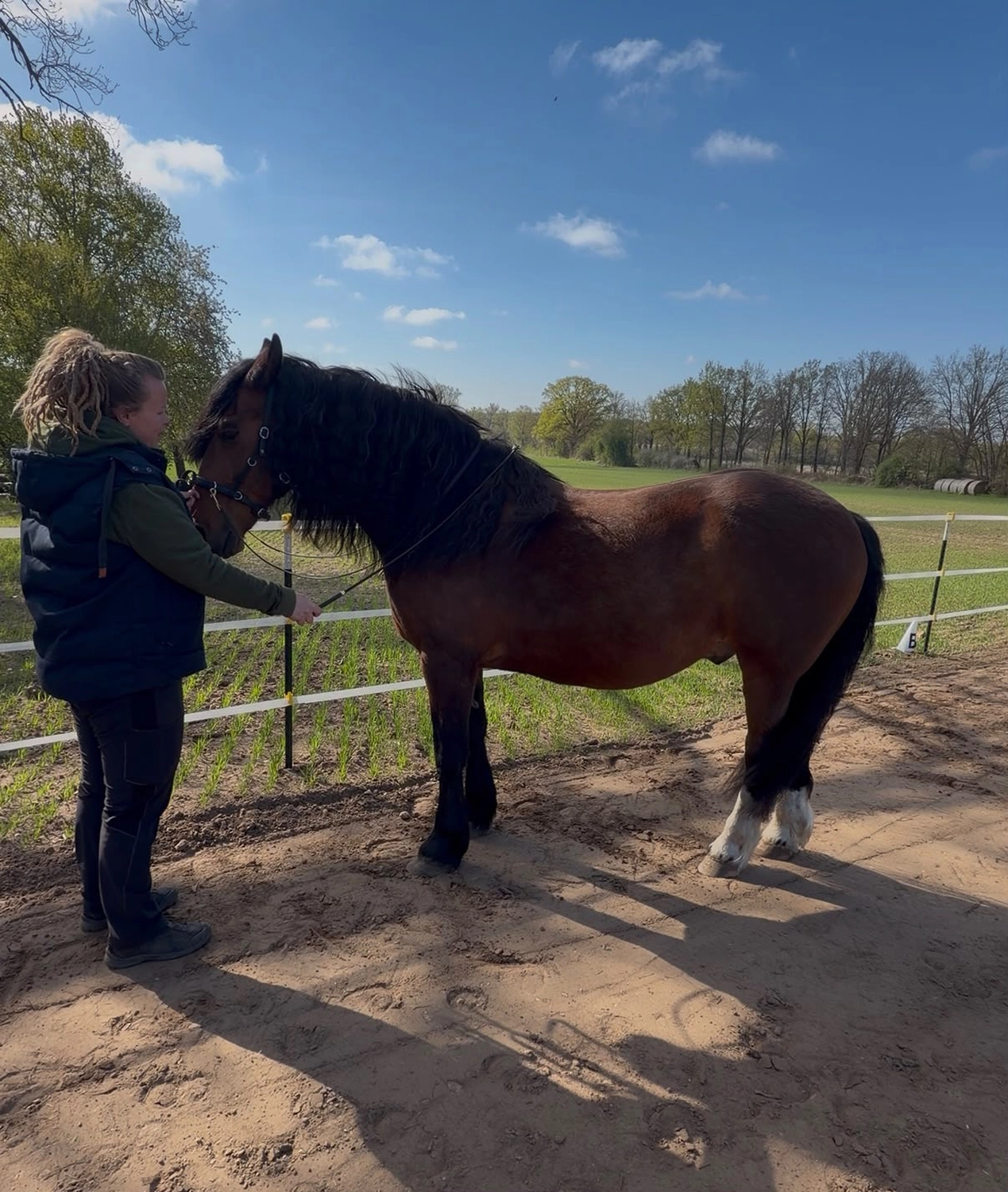 Ankerhof Natürlich-fair-Pferd - Pferdetraining - Pferdetrainer mit Pferd