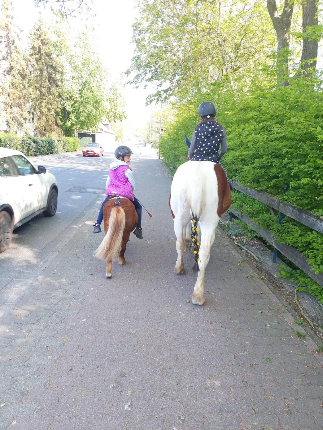 Pferdepflege für Kinder