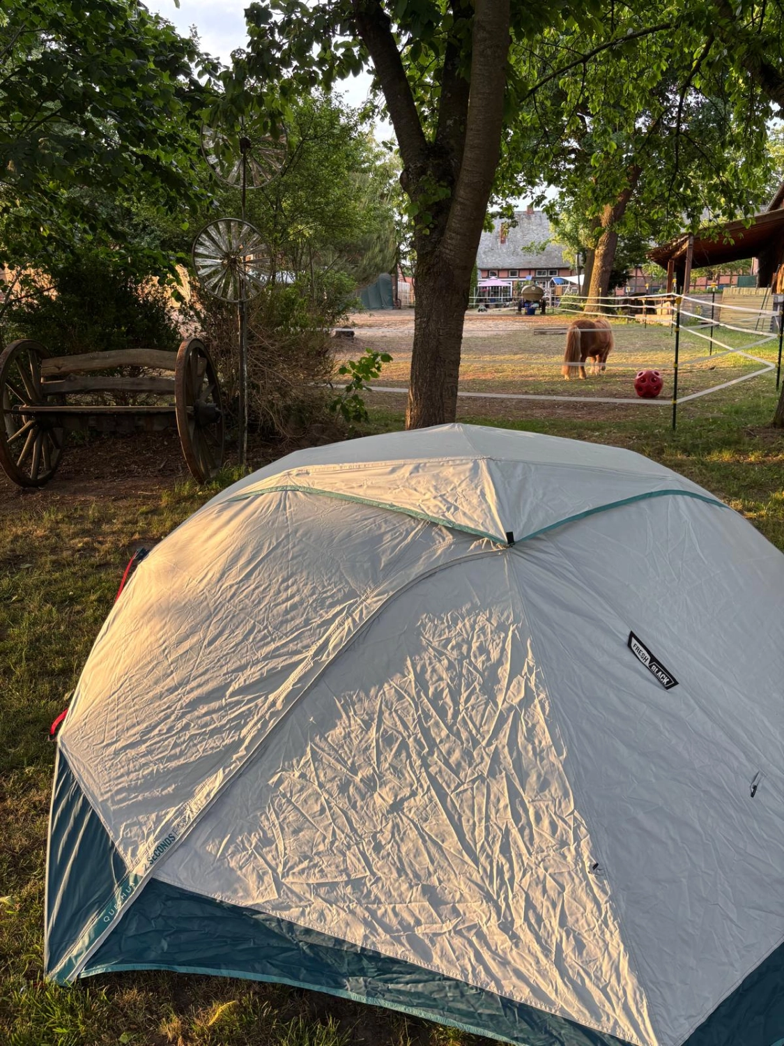 Ankerhof Natürlich-fair-Pferd - Pferdetraining - Camping & Wanderreitstation