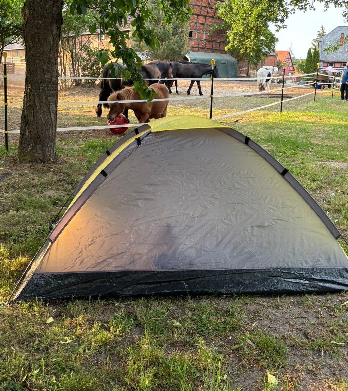 Ankerhof Natürlich-fair-Pferd - Pferdetraining - Camping & Wanderreitstation