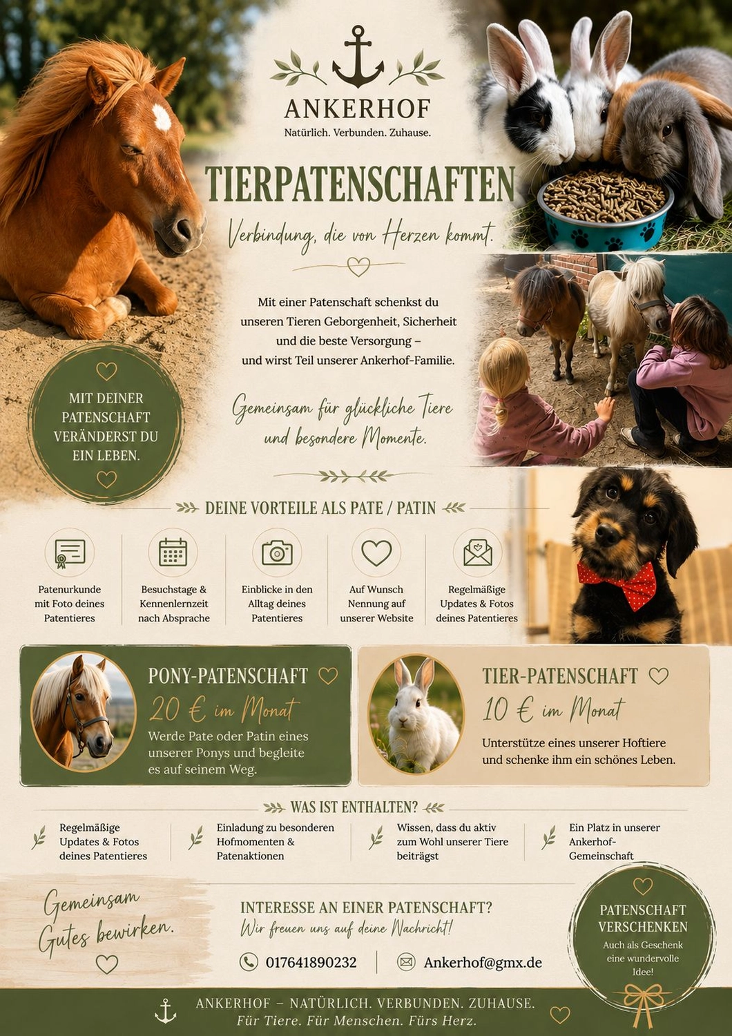 Ankerhof Natürlich-fair-Pferd - Pferdetraining - Flyer Ferienbetreuung