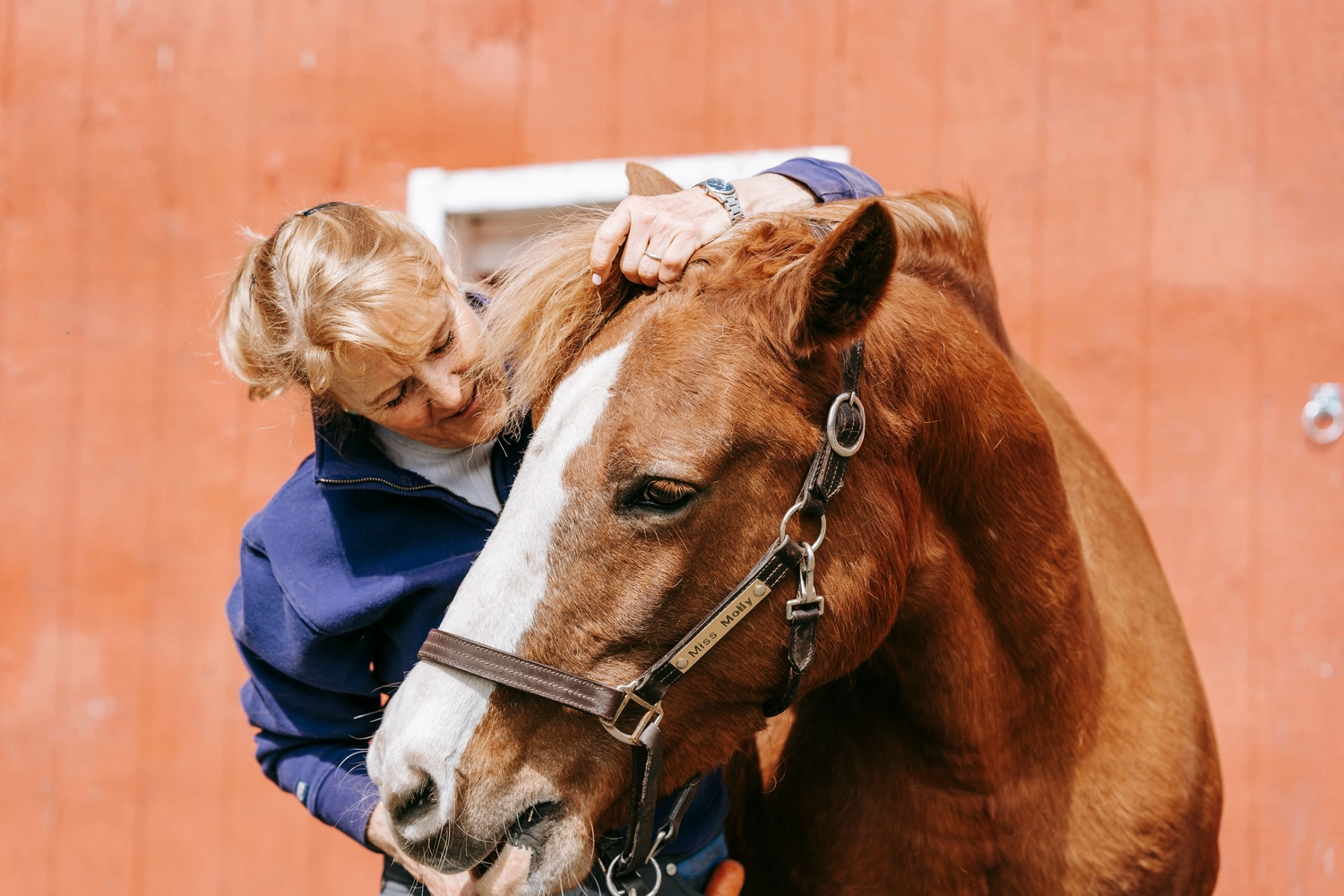 Ankerhof Natürlich-fair-Pferd - Pferdetraining -  Kommunikation mit dem Pferd