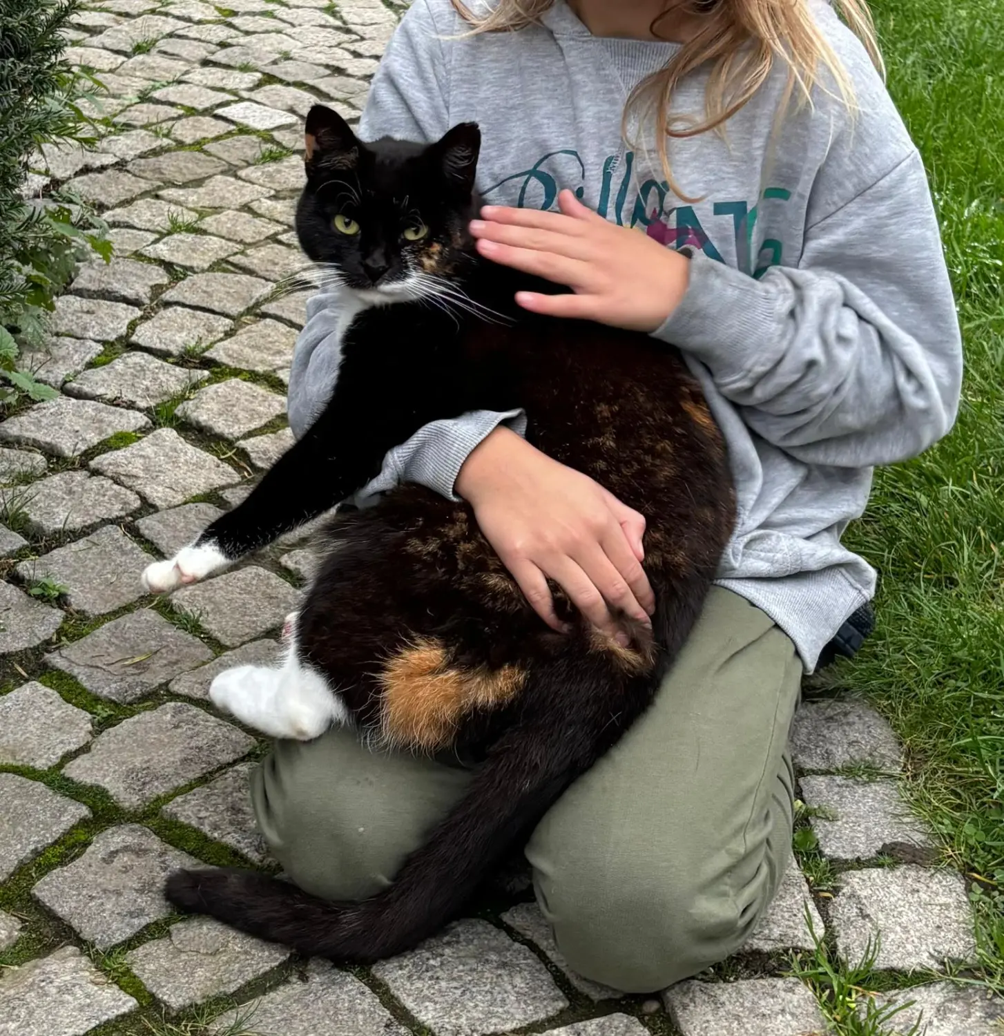 Ankerhof Natürlich-fair-Pferd - Pferdetraining - Rosi Katze, unsere langjährige, treue Begleiterin